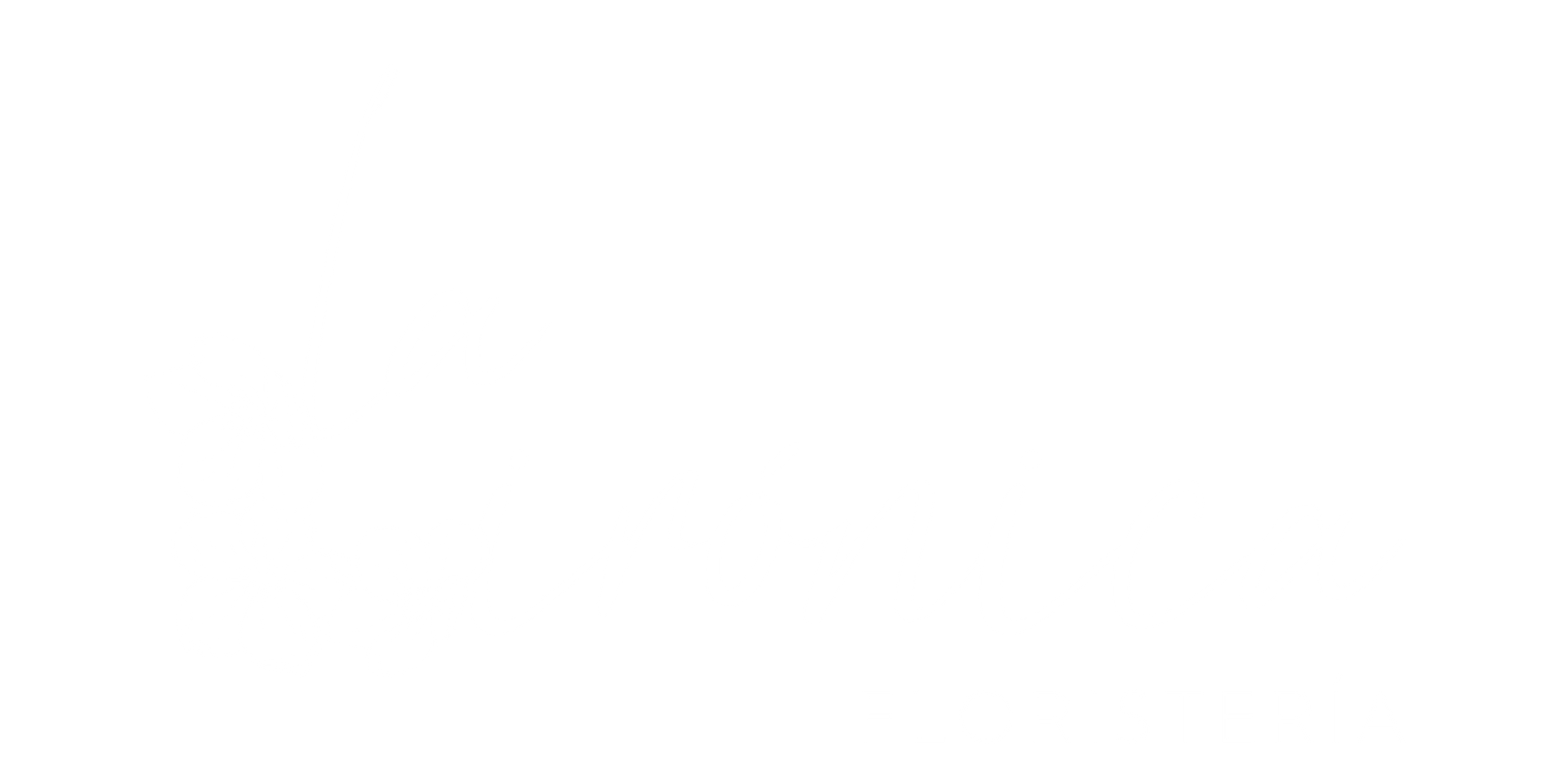 Floristeria La Irónica